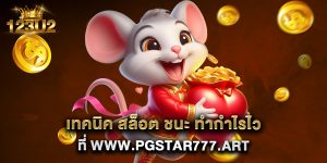 เทคนิค สล็อต ชนะ ทำกำไรไวที่ www.pgstar777.art